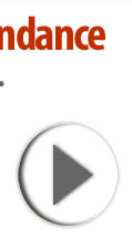 Foreclosure Sales Attendance Button